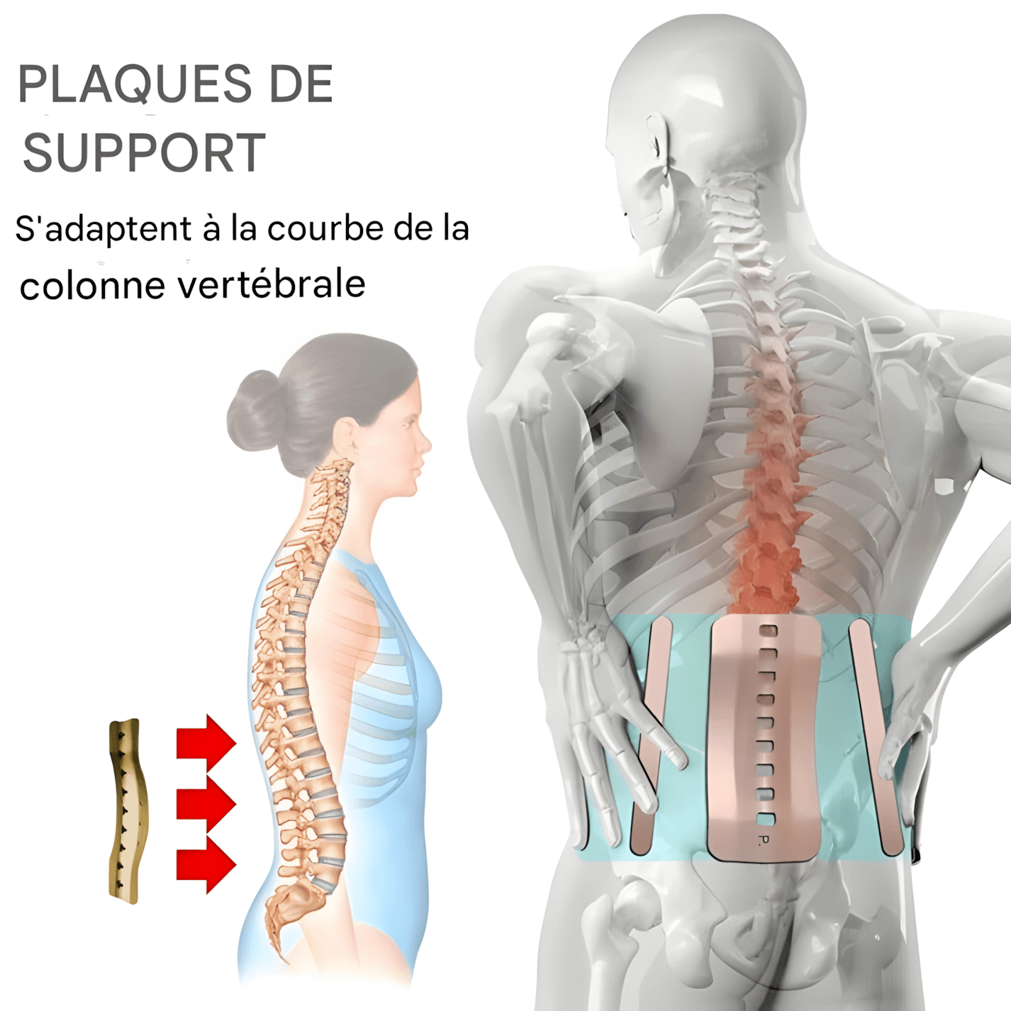 CEINTURE LOMBAIRE MÉDICALE ET SPORTIVE – CONFORT SUPÉRIEUR ET SOUTIEN EFFICACE CONTRE LES DOULEURS LOMBAIRES