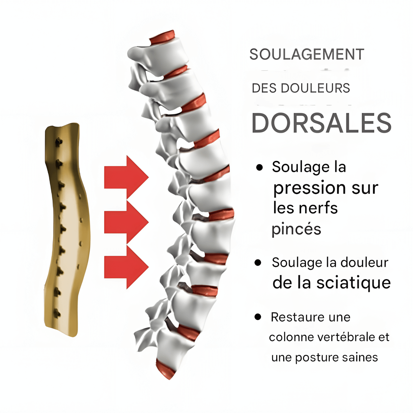 CEINTURE LOMBAIRE MÉDICALE ET SPORTIVE – CONFORT SUPÉRIEUR ET SOUTIEN EFFICACE CONTRE LES DOULEURS LOMBAIRES