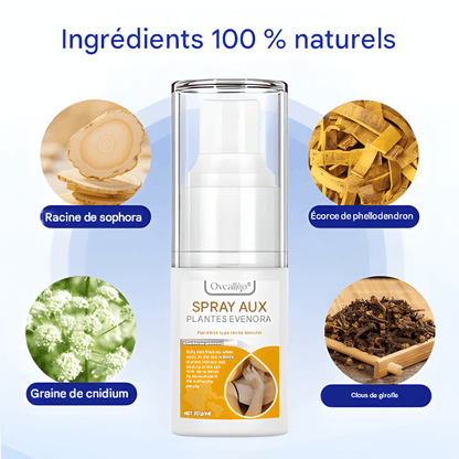 ÉCLAT NATUREL – SPRAY CORRECTEUR DE TEINT 🌟