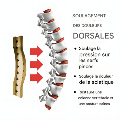 CEINTURE LOMBAIRE MÉDICALE ET SPORTIVE – CONFORT SUPÉRIEUR ET SOUTIEN EFFICACE CONTRE LES DOULEURS LOMBAIRES